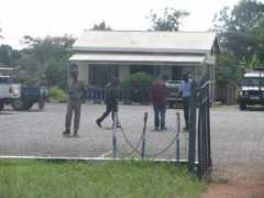 Arua