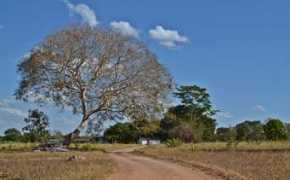 panoramio.com Aruana