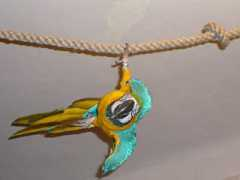 milanbartl.cz Aruska