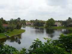 weston.tv Arvida