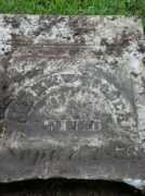 rootsweb.ancestry.com Arvill