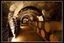 viajerosdelvino.com Arviza