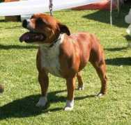 Arwan