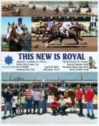 circledhorses.com Arzabala