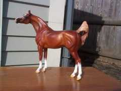 gatcombe.com Asadd