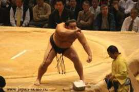 japan-sumo.ru Asate
