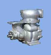 Ascl