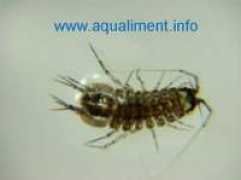 aqualiment.info Aselle