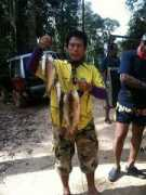 wayn.com Ashaari
