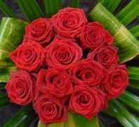 foodieshope.org Ashaji