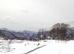Ashige
