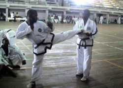 lacancha.com Ashiru