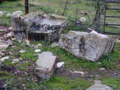 shechem.org Ashnaf