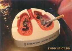 funnypics.dk Ashtray