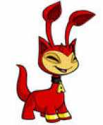 neopets.com Askai