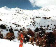 Askif
