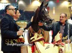 w-arabians.com Asmarr