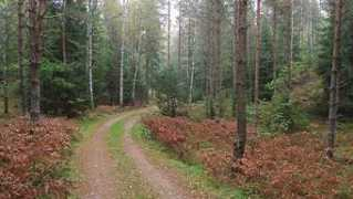 home.kabelfoon.nl Asnen