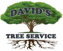 davidstreeservice.com Asociates