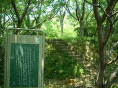 geocities.co.jp Asojo