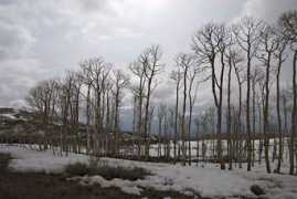 celnav.de Aspens