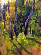 danagallery.com Aspens