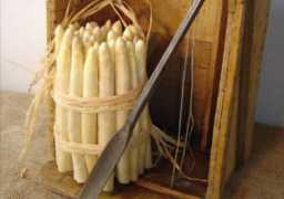 marionnet.com Asperge