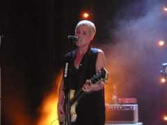 dayviews.com Asplund