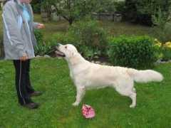 pokladzteruvek.websnadno.cz Astien