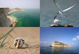 blogs.thenews.com.pk Astola