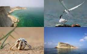 blogs.thenews.com.pk Astola