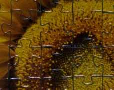 forum.puzzler.su Astrel