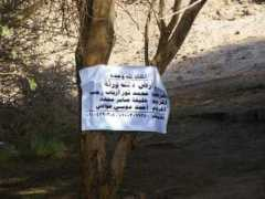 Aswan