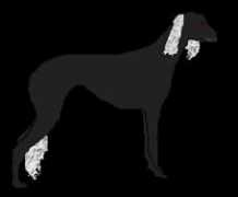 Aswart