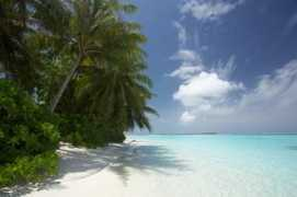 mycitysecret.com Atambo