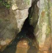Atanasie