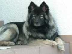 Athaba
