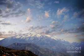 fineartamerica.com Athala