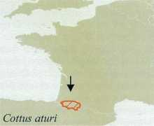 ittiofauna.org Aturi