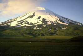 doubledeckerpress.com Augistine