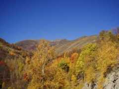 panoramio.com Auros