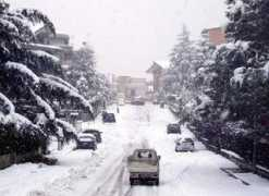 ciaodarling.com Avellino