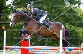 torp-ridesenter.no Avento