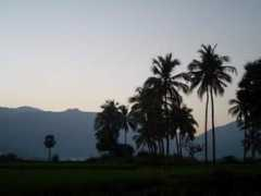 fuzzytravel.com Avvai