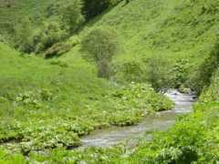 panoramio.com Axina