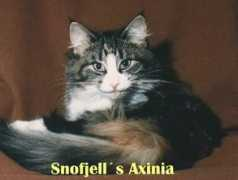 snofjells.de Axinia
