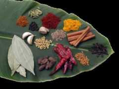 Ayeshas