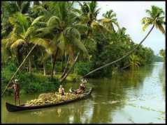 Aymanam