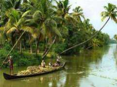 Aymanam