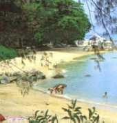 malaysiaarab.com Ayoa